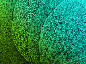 laque solaire non polluante